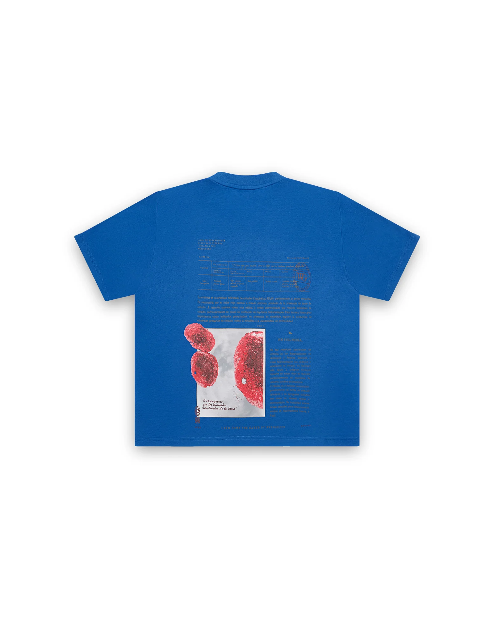 CAMISETA BOX ERITRINA AZUL - Image 2