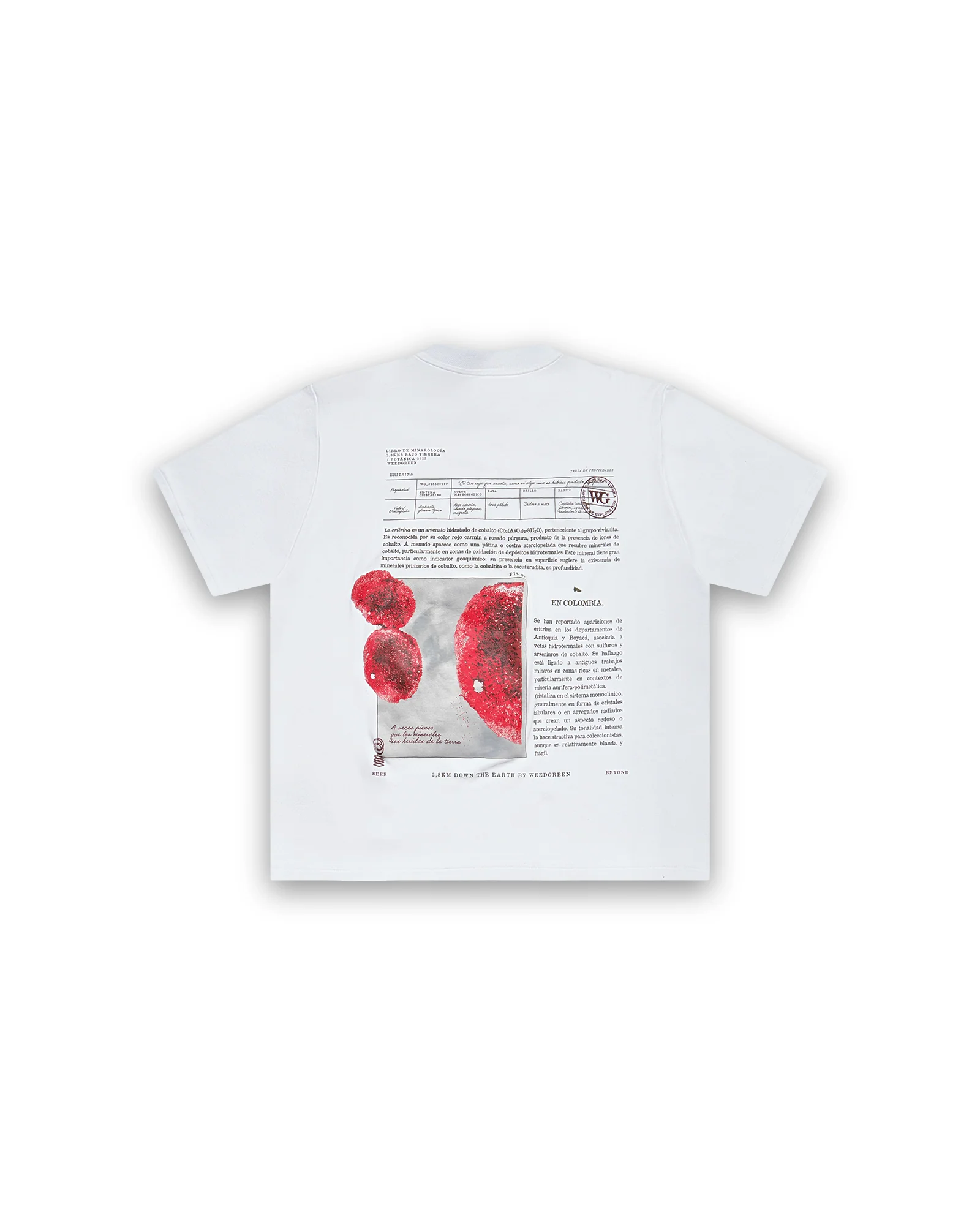 CAMISETA BOX ERITRINA BLANCO - Image 2