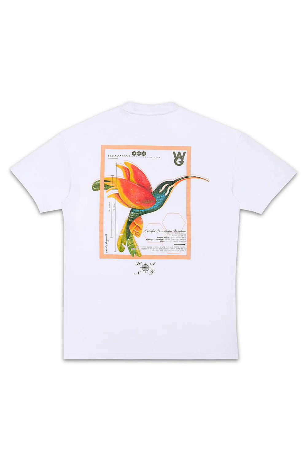 CAMISETA COLIBRI BLANCO
