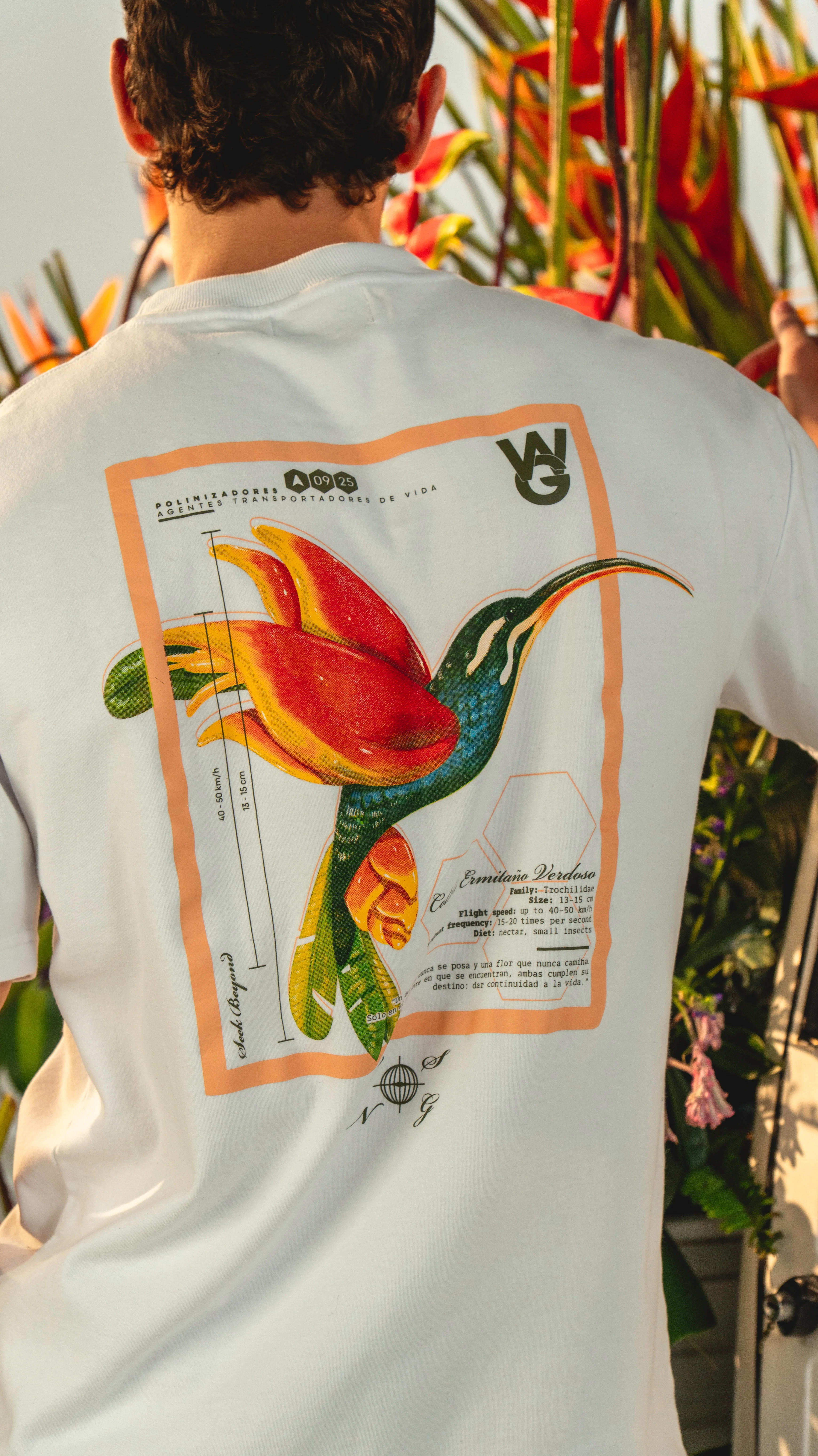 CAMISETA COLIBRI BLANCO - Image 4