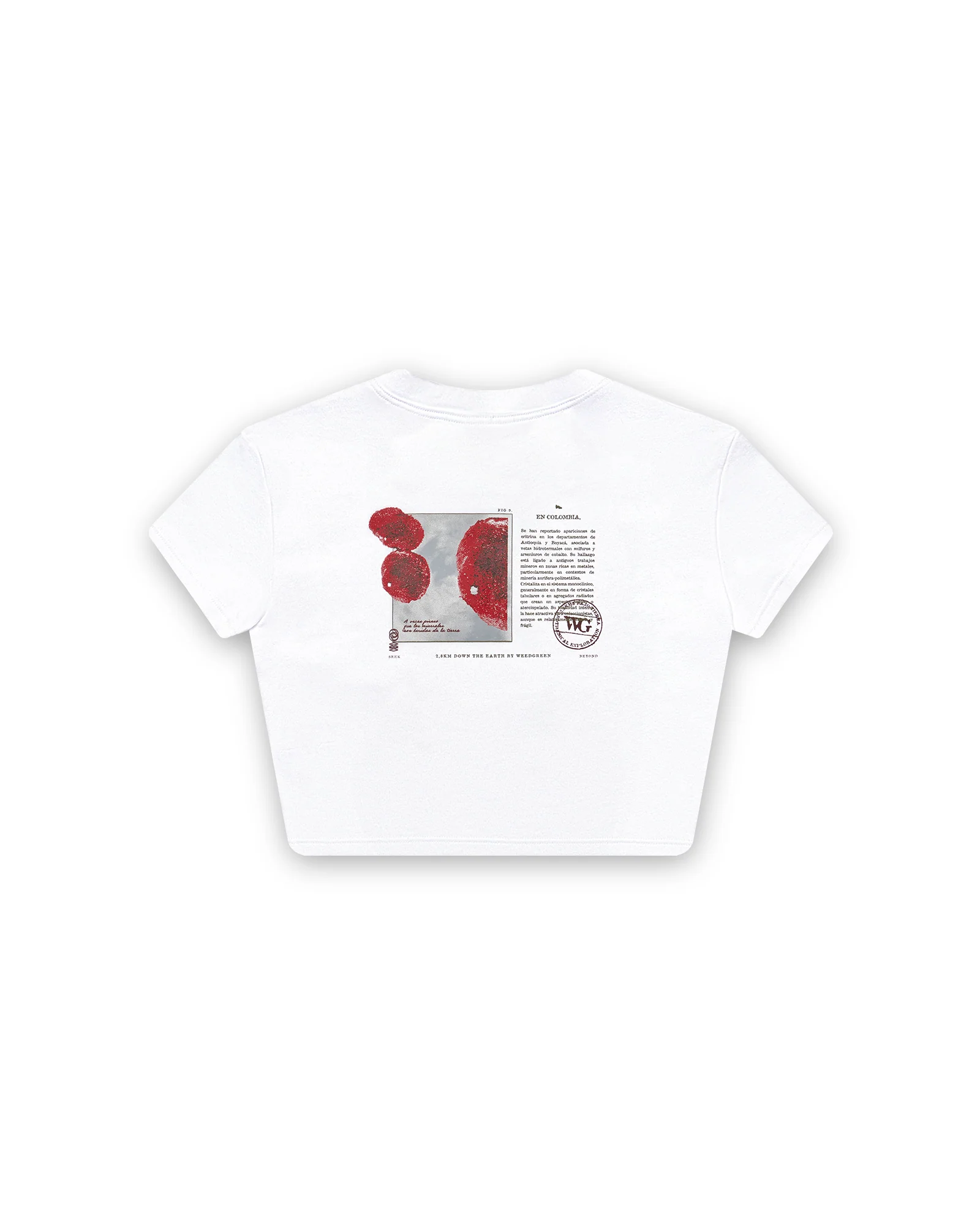CAMISETA GRAPHITEE ERITRINA BLANCO - Image 2