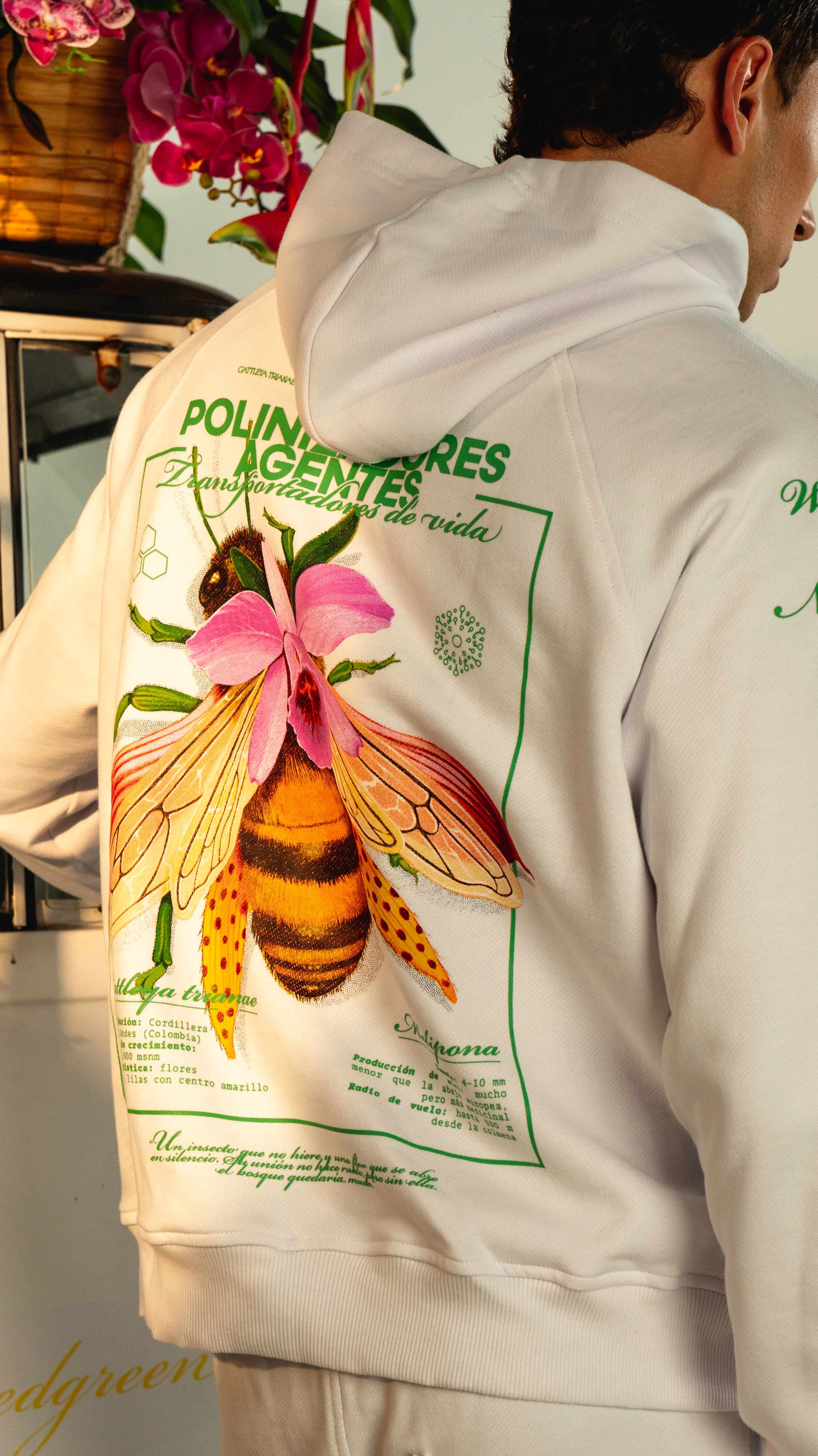 HOODIE ABEJA BLANCO - Image 3