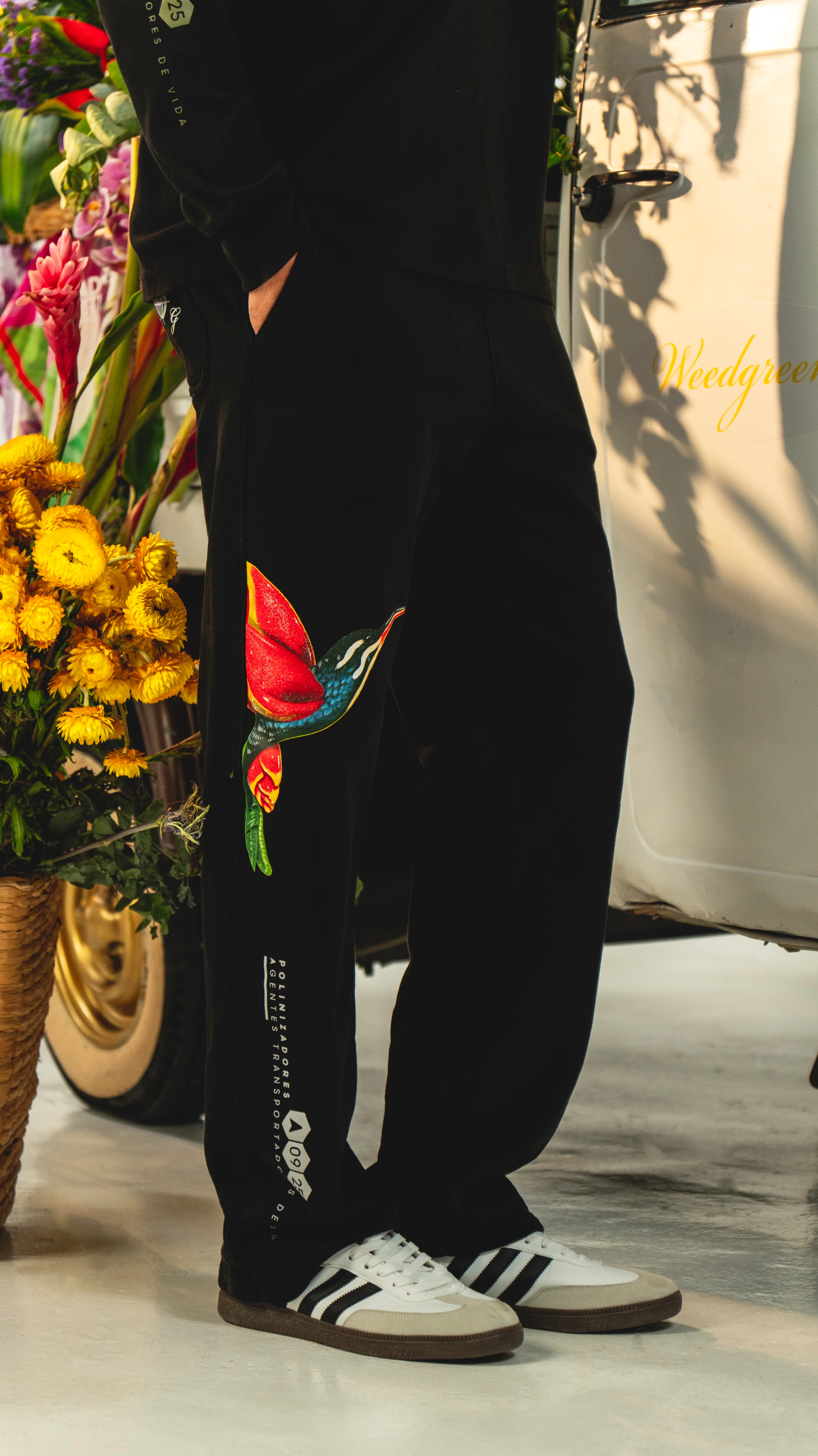 JOGGER RECTO  COLIBRI NEGRO - Image 3